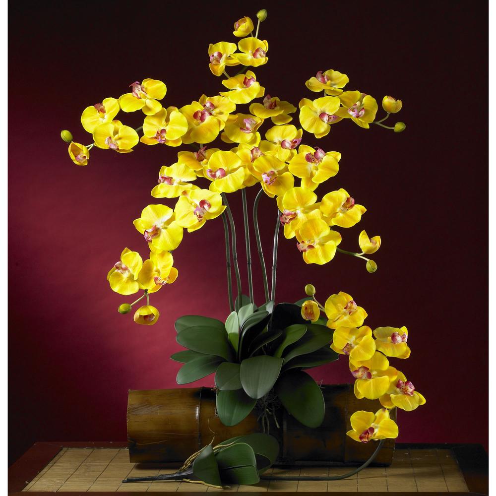 Phalaenopsis Stem (Set of 6). Picture 3