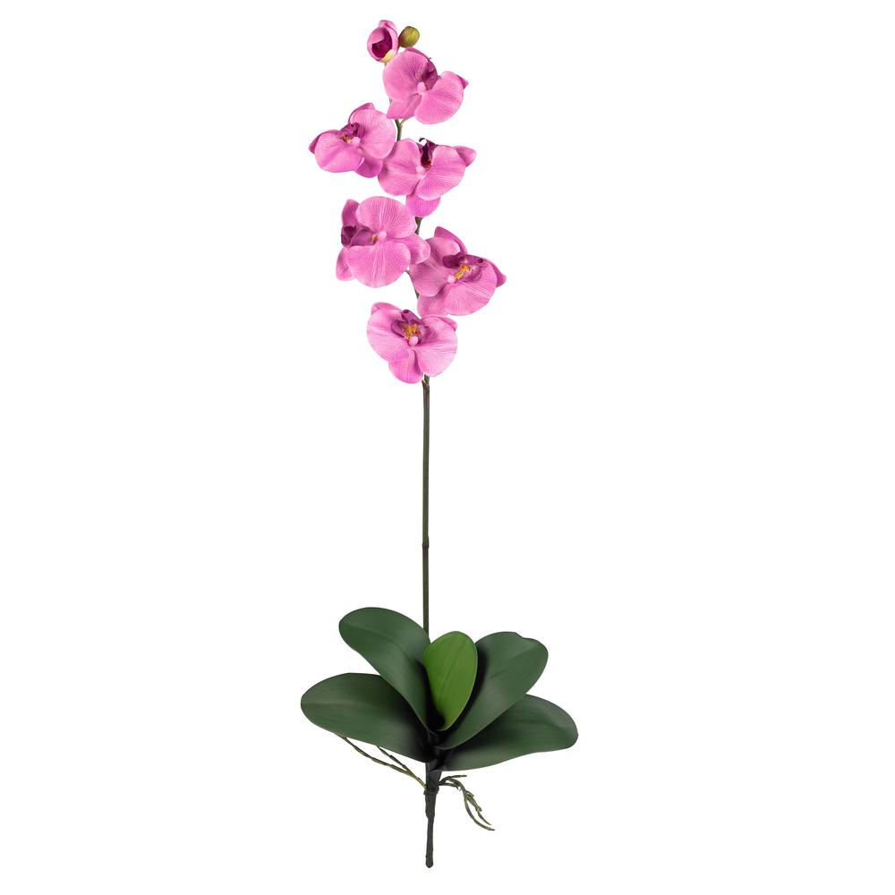 Phalaenopsis Stem (Set of 6). Picture 1