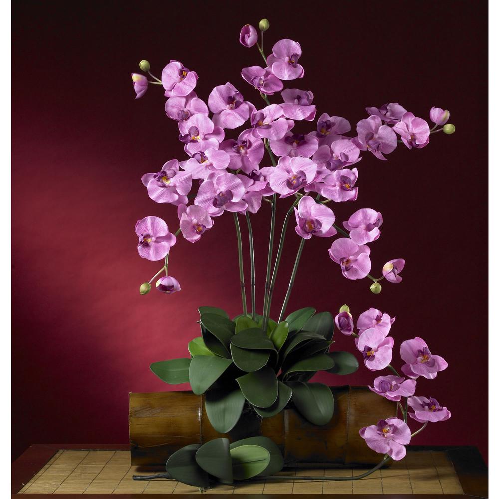 Phalaenopsis Stem (Set of 6). Picture 3