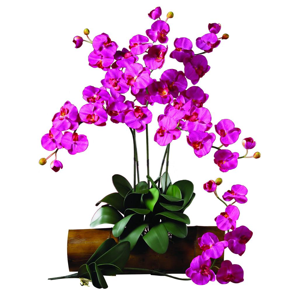 Phalaenopsis Stem (Set of 6). Picture 2