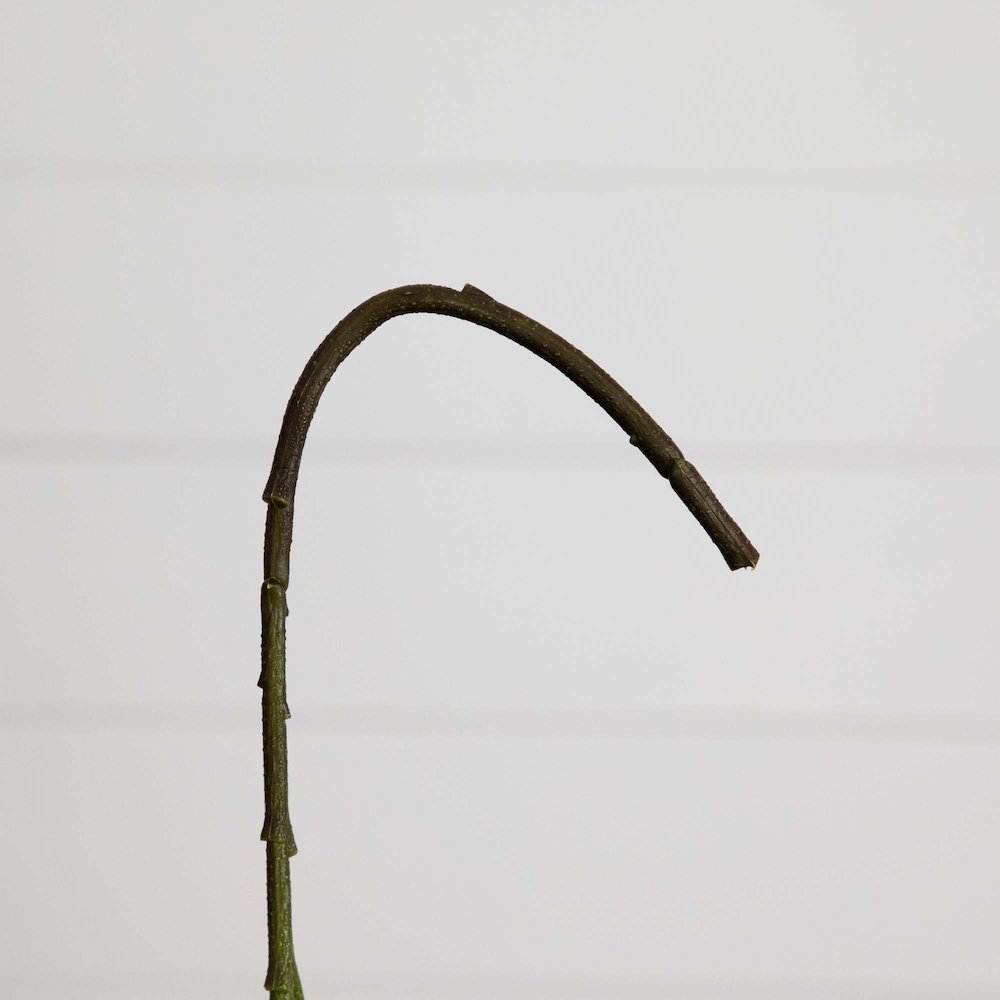 20in. Artificial Hydrangea Flower Stems, Set of 3. Picture 5