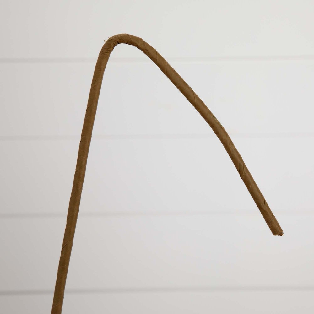 40in. Artificial Eucalyptus Stems, Set of 3. Picture 5