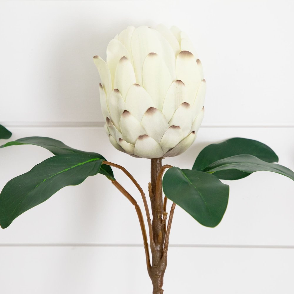 26in. Artificial King Protea Flower Stems - Set of 4. Picture 9