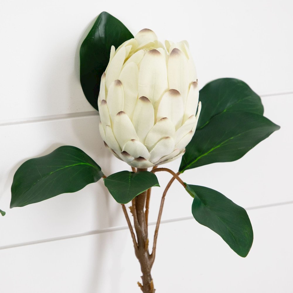 26in. Artificial King Protea Flower Stems - Set of 4. Picture 10