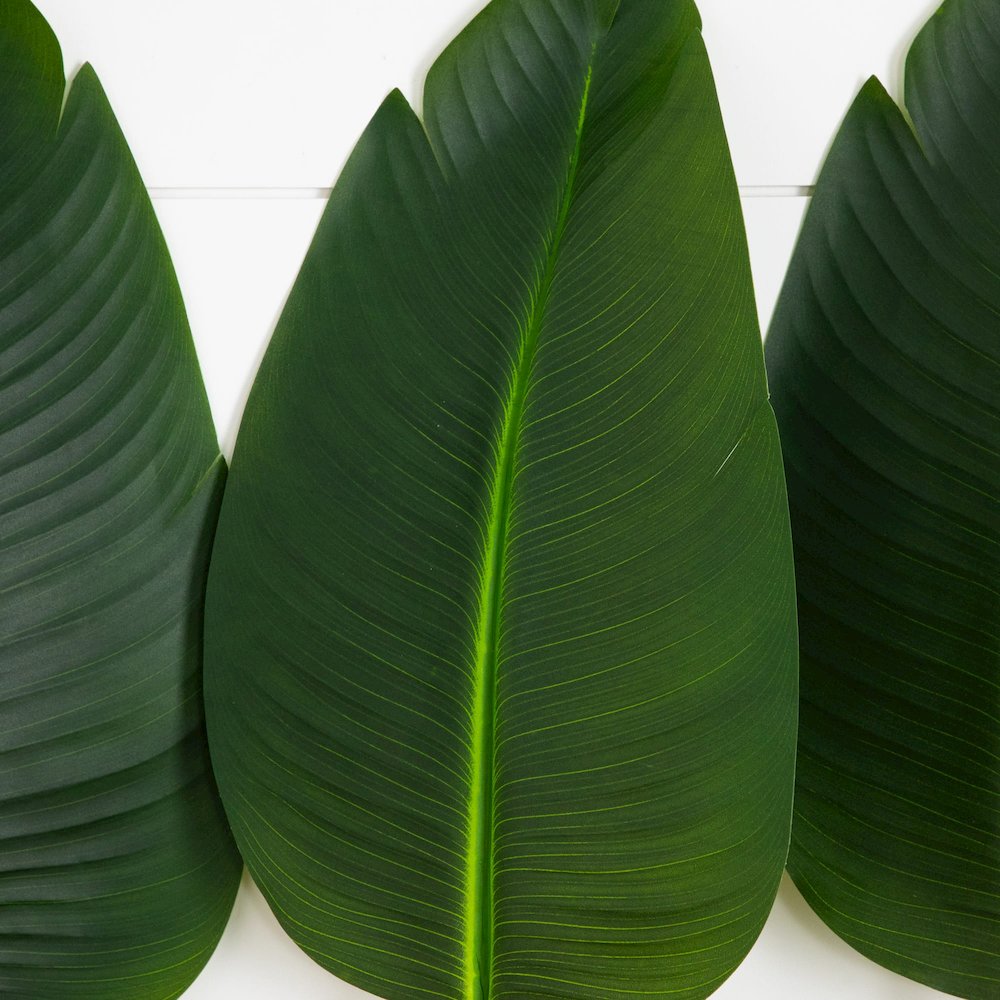 40in. Artificial Travelers Palm Stems - Set of 6. Picture 3