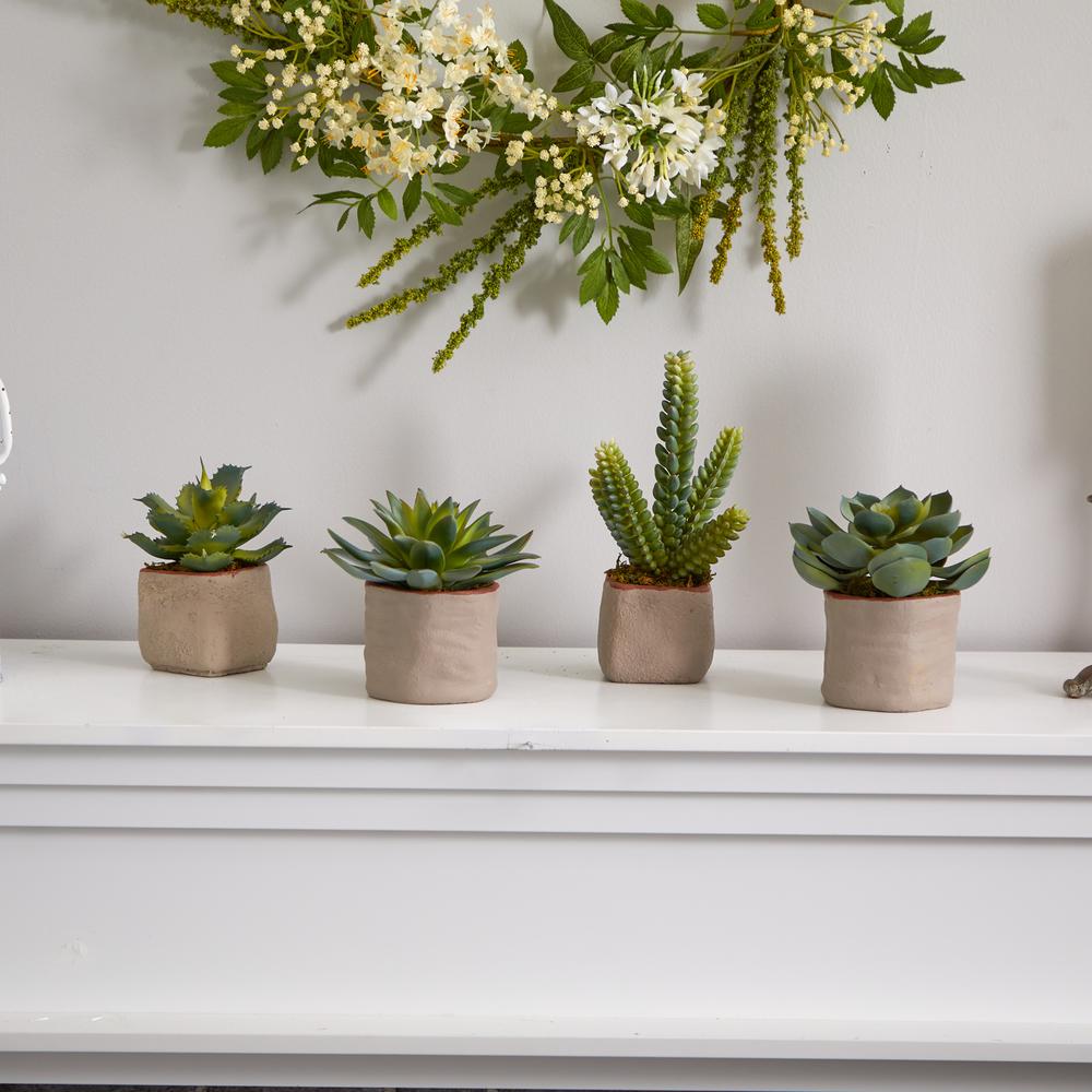 Mixed Succulent Artificial Plant (Set of 4). Picture 4