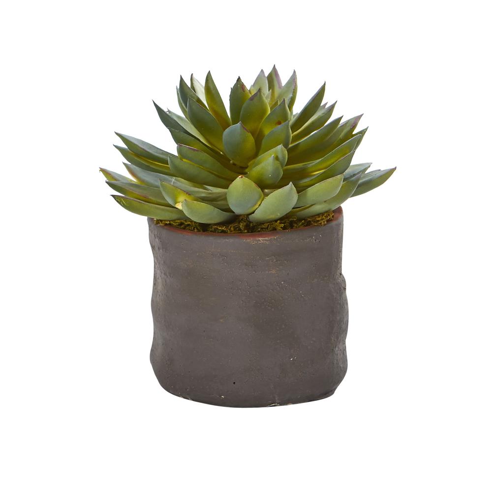 Mixed Succulent Trio Artificial Plant (Set of 3). Picture 4