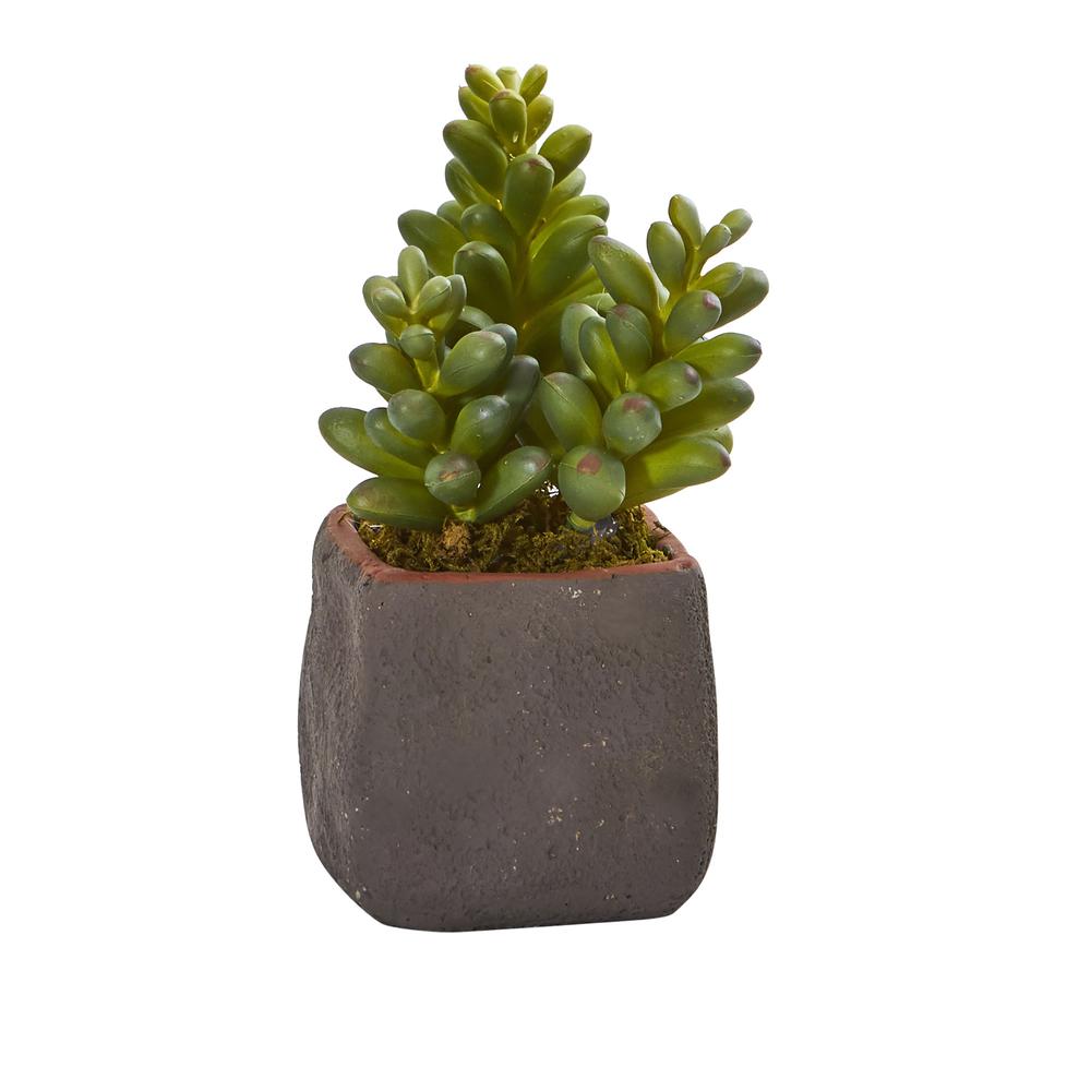 Mixed Succulent Trio Artificial Plant (Set of 3). Picture 5