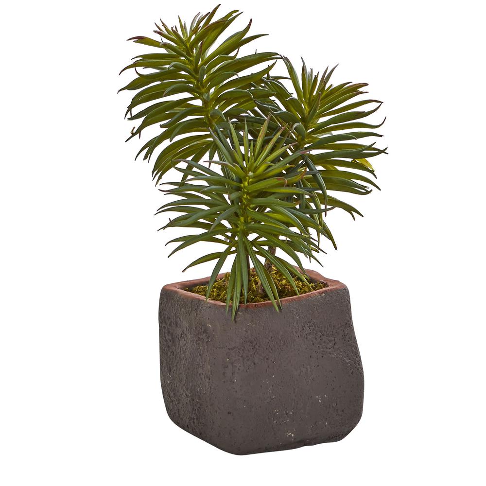 Mixed Succulent Trio Artificial Plant (Set of 3). Picture 6
