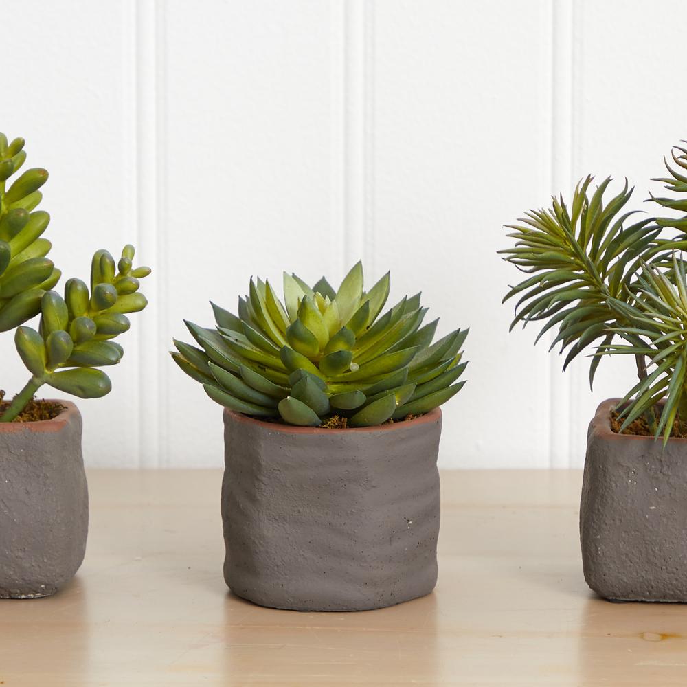 Mixed Succulent Trio Artificial Plant (Set of 3). Picture 3