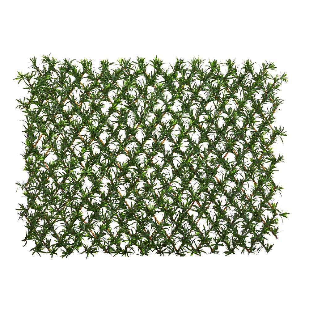 Expandable Podocarpus Fence UV Resistant & Waterproof. Picture 1