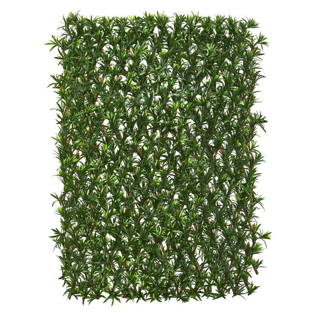 Expandable Podocarpus Fence UV Resistant & Waterproof. Picture 3