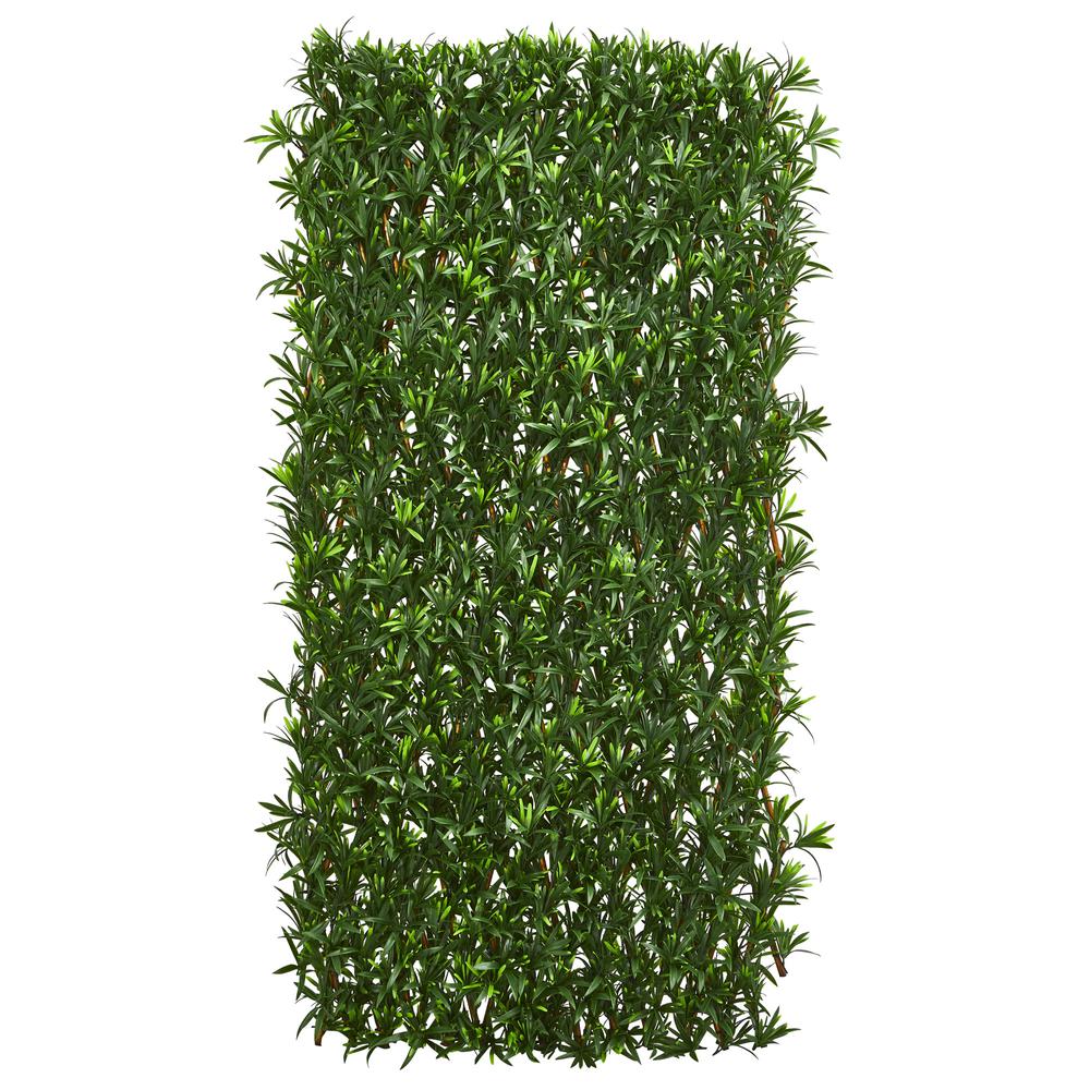 Expandable Podocarpus Fence UV Resistant & Waterproof. Picture 2
