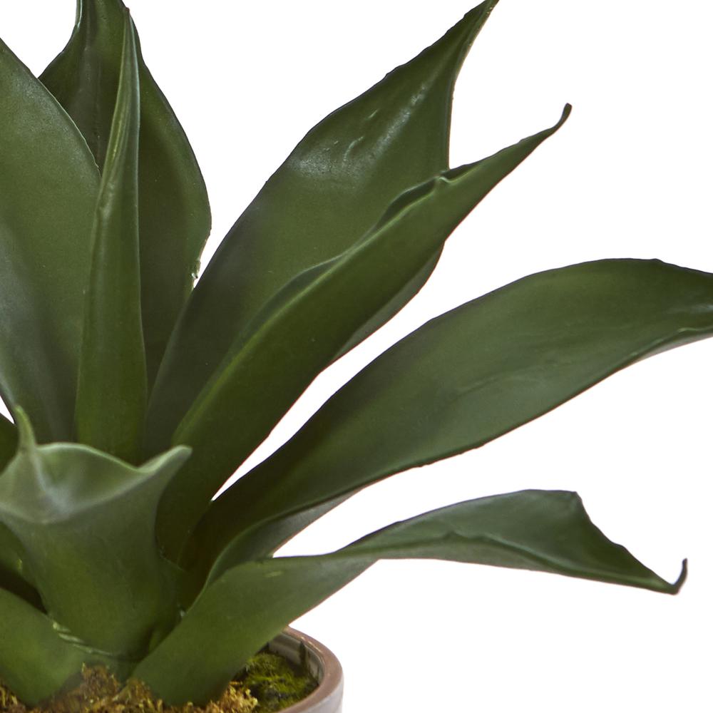 14in. Agave Succulent in Decorative Planter. Picture 3