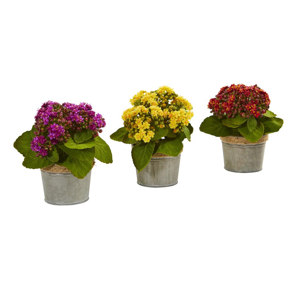 Kalanchoe Artificial Arrangements (Set of 3). Picture 1