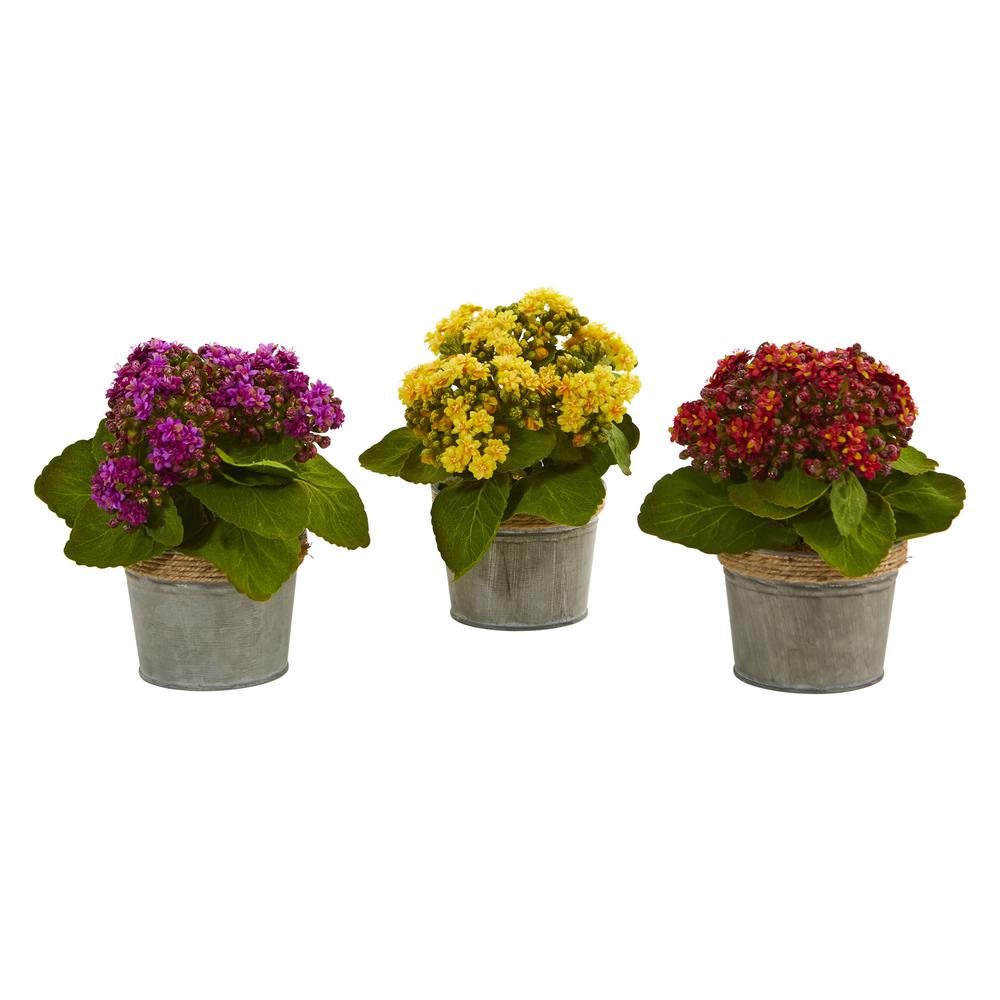 Kalanchoe Artificial Arrangements (Set of 3). Picture 5