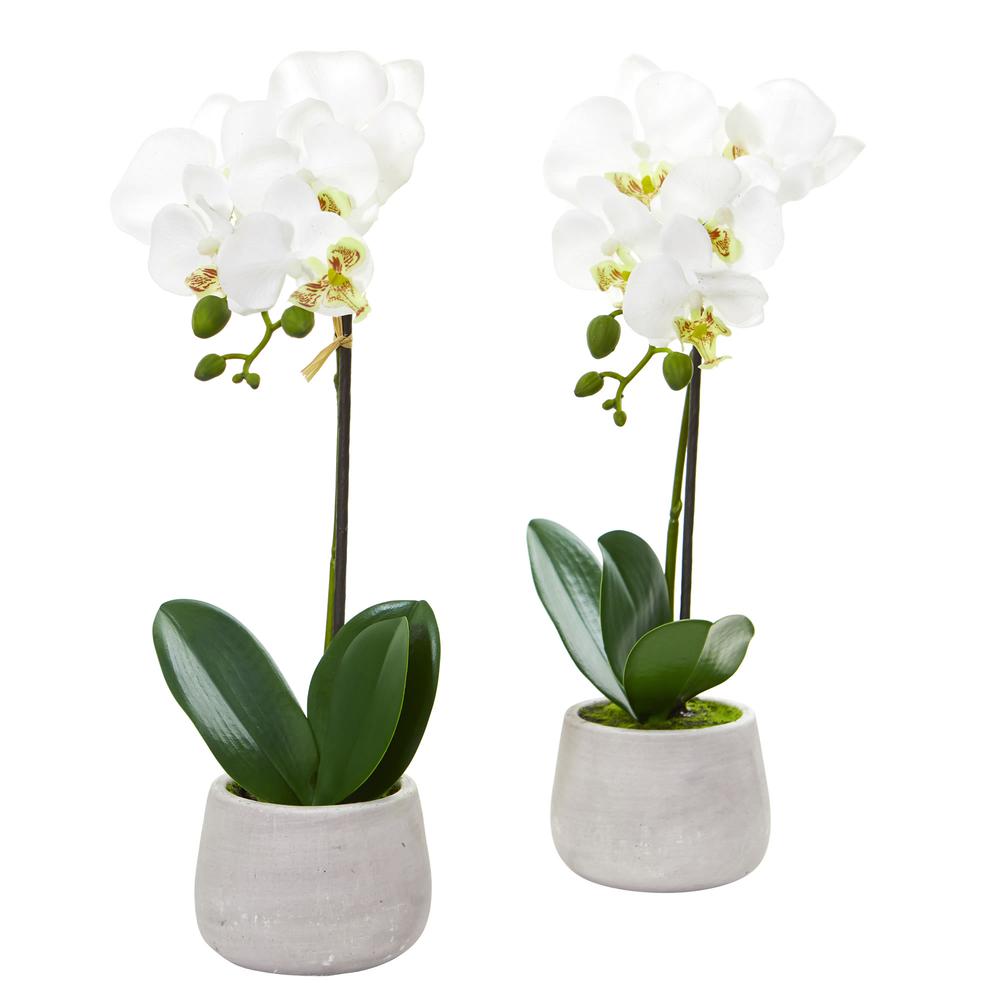 Phalaenopsis Orchid Artificial Arrangement (Set of 2). Picture 1