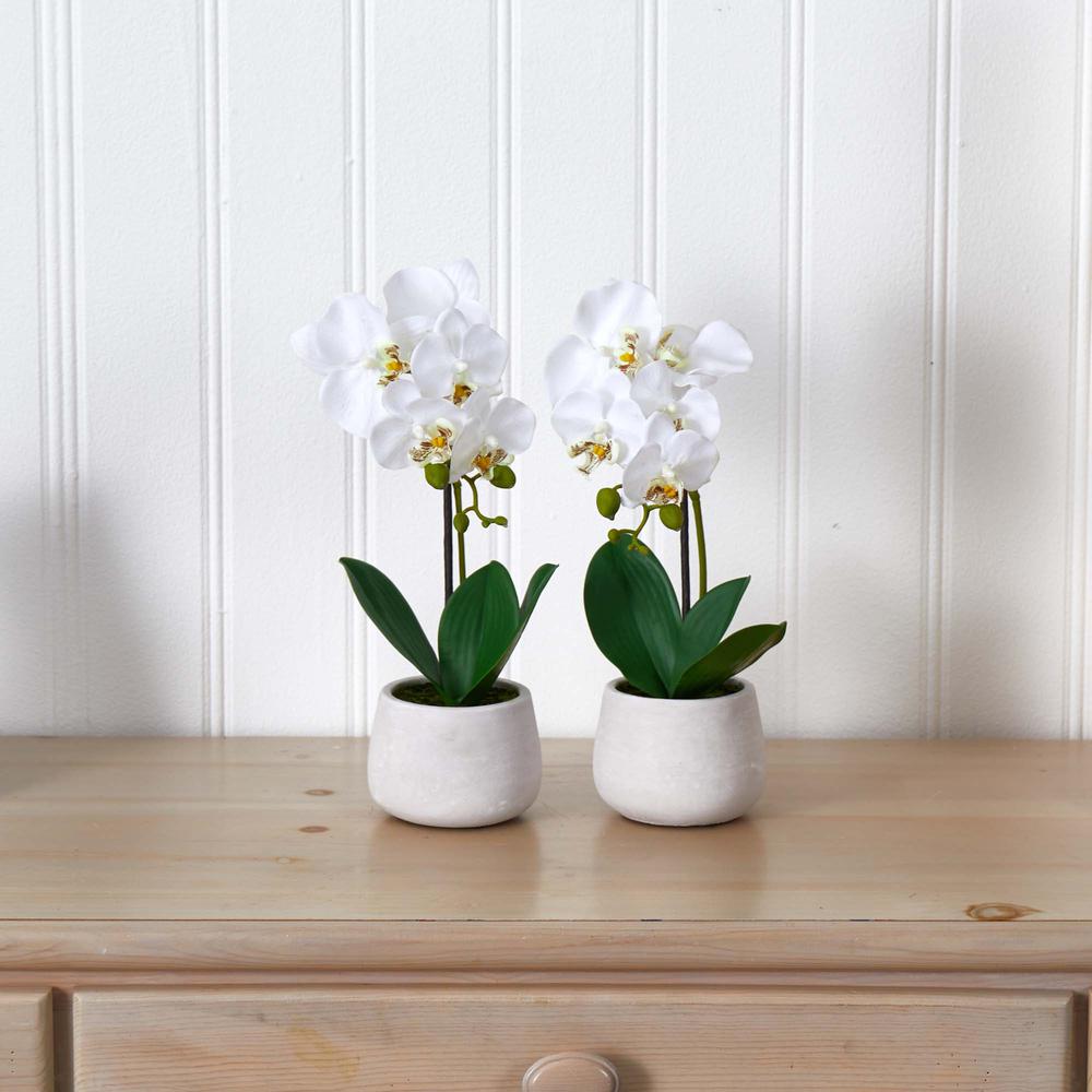 Phalaenopsis Orchid Artificial Arrangement (Set of 2). Picture 3