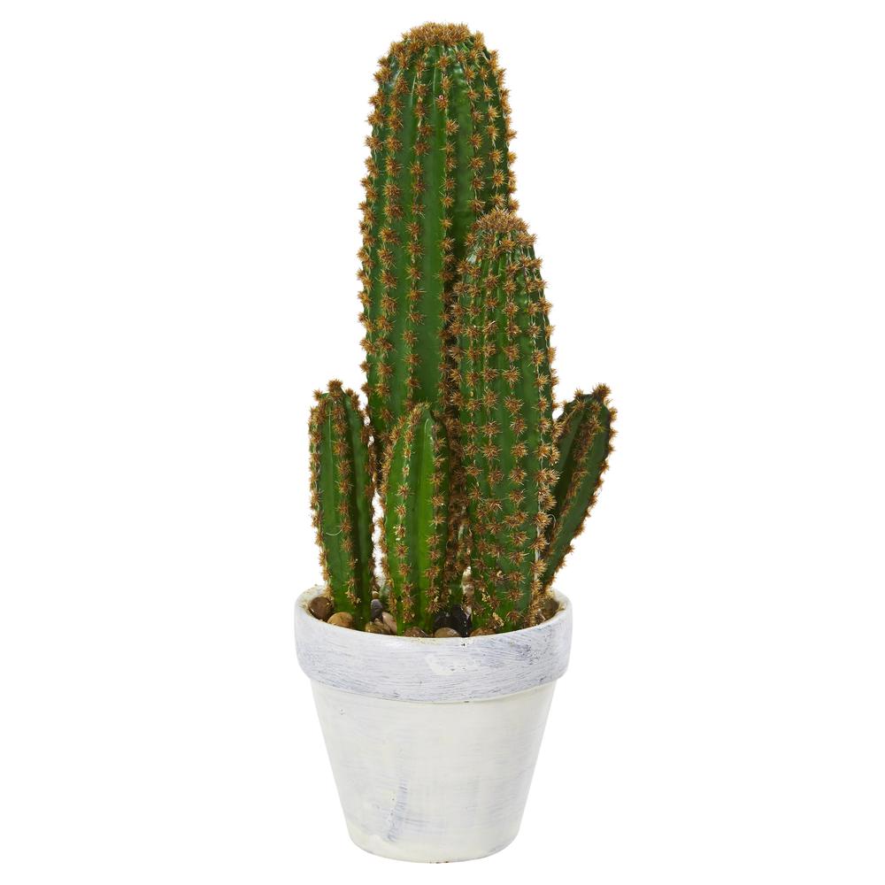 1.5ft. Cactus Succulent Artificial Plant. Picture 1
