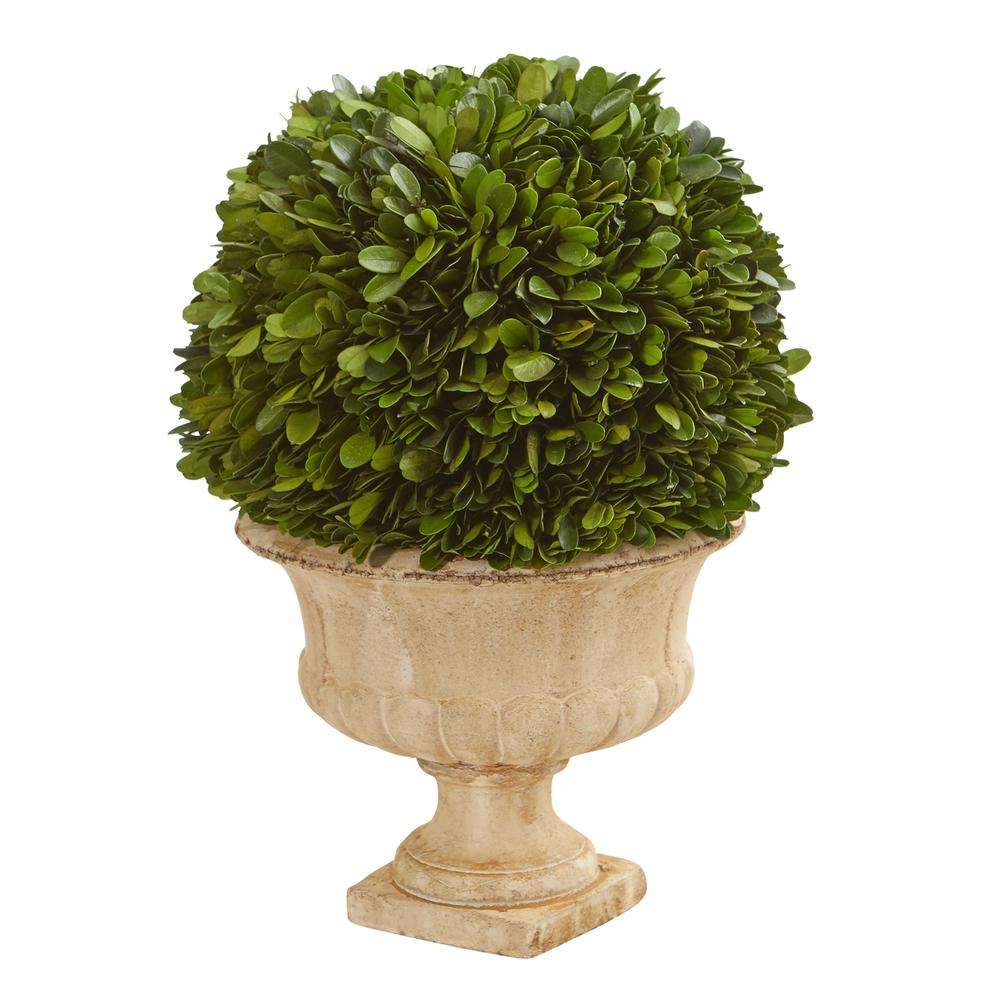 12in. Boxwood Topiary Ball Preserved Plant in Decorative Urn. Picture 1