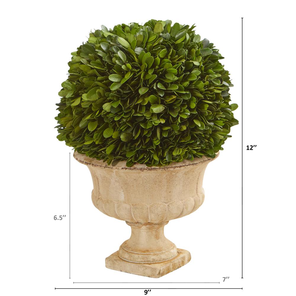 12in. Boxwood Topiary Ball Preserved Plant in Decorative Urn. Picture 2