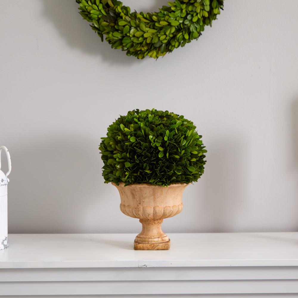 12in. Boxwood Topiary Ball Preserved Plant in Decorative Urn. Picture 4