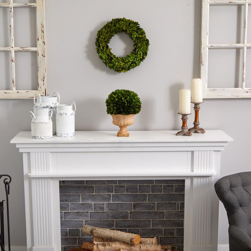 12in. Boxwood Topiary Ball Preserved Plant in Decorative Urn. Picture 3