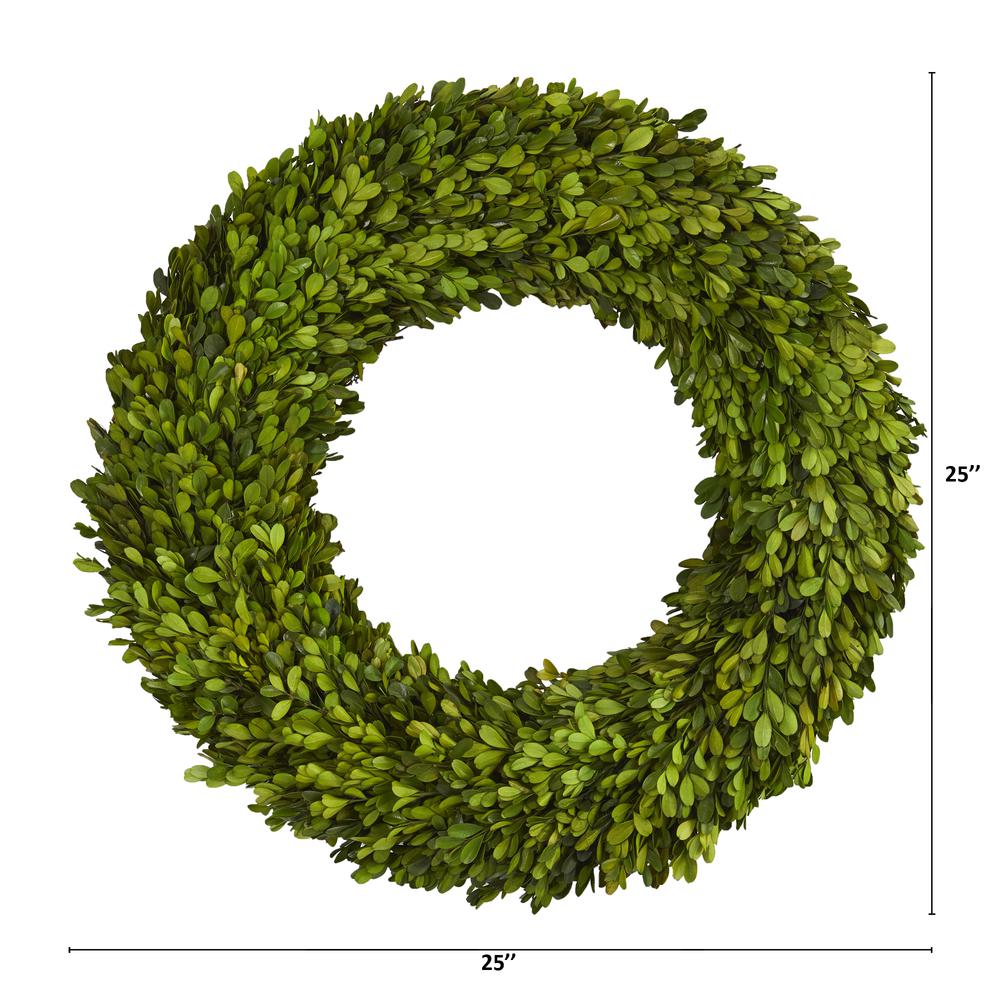 24in. Preserved Boxwood Wreath. Picture 2