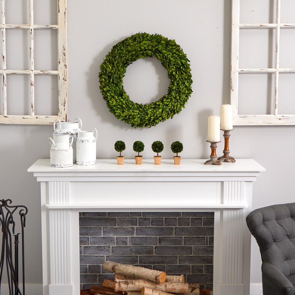 24in. Preserved Boxwood Wreath. Picture 3