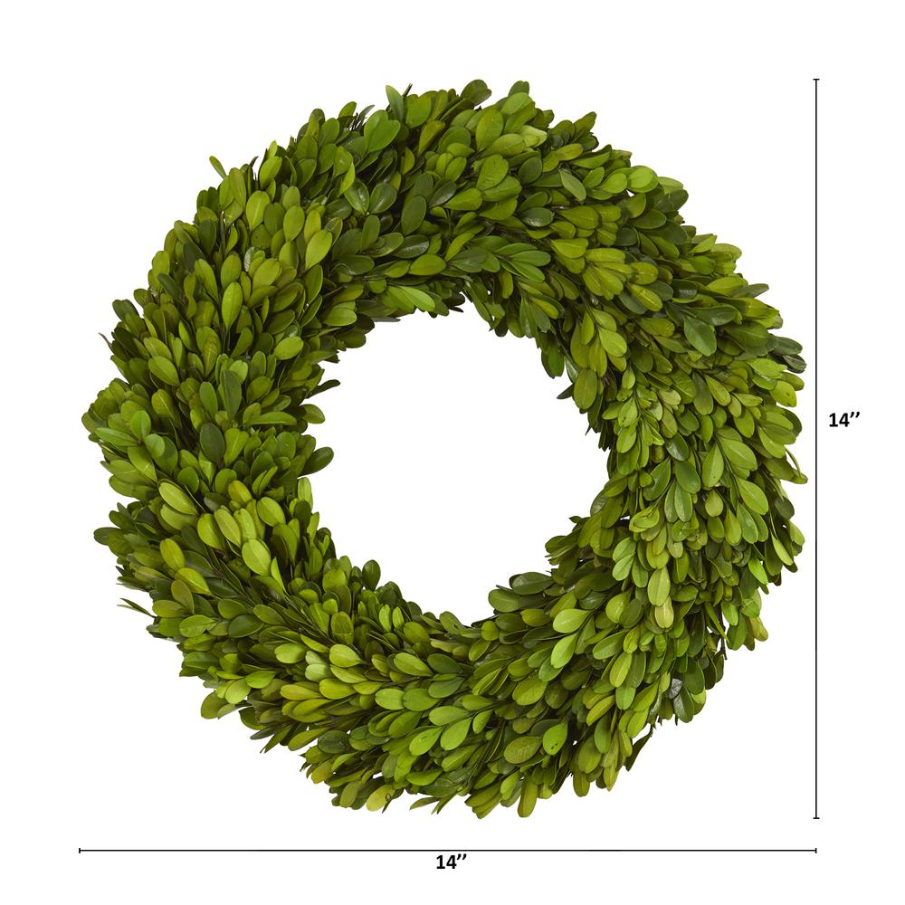 14in. Preserved Boxwood Wreath. Picture 2