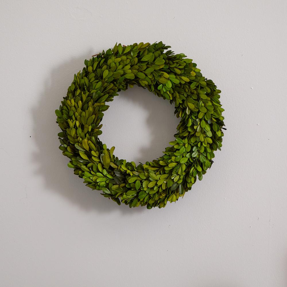 14in. Preserved Boxwood Wreath. Picture 3