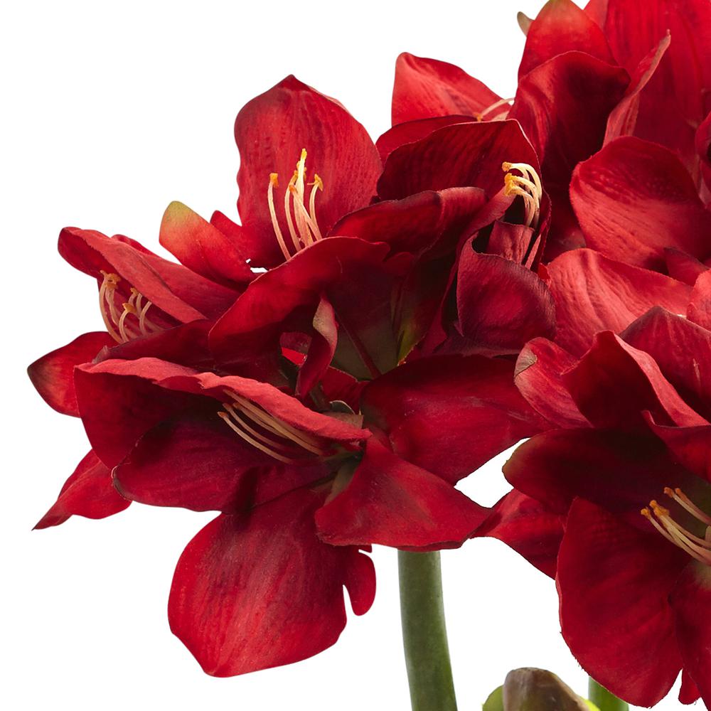 Amaryllis Arrangement with Vase. Picture 3