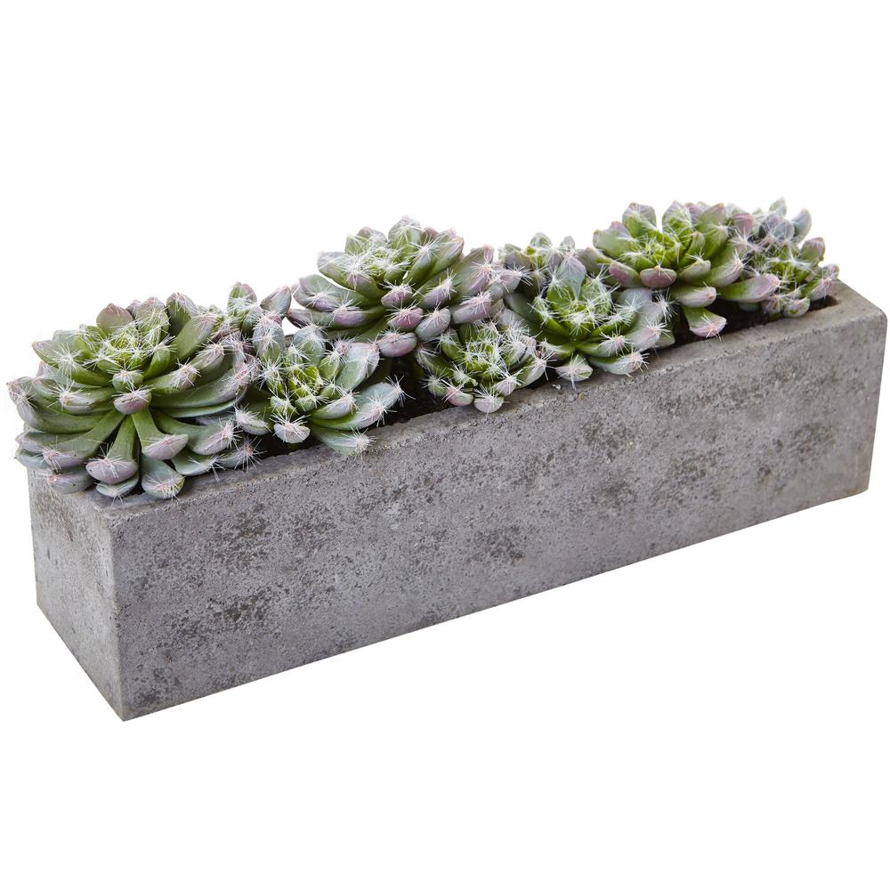 Succulent Garden with Textured Concrete Planter. Picture 1
