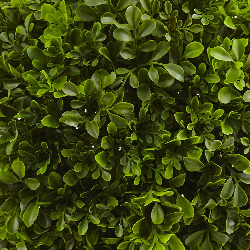 23in. Boxwood Ball Topiary. Picture 2