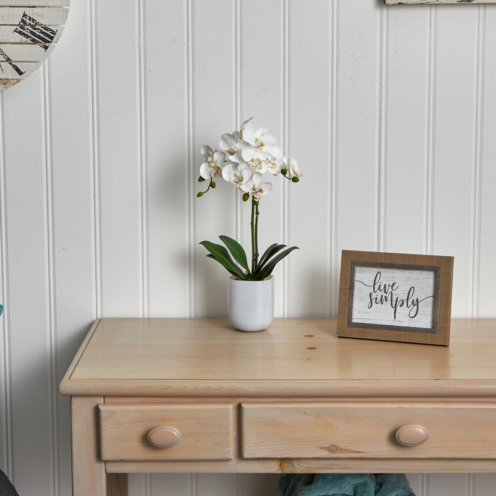 Phalaenopsis in Frosted Glass. Picture 4