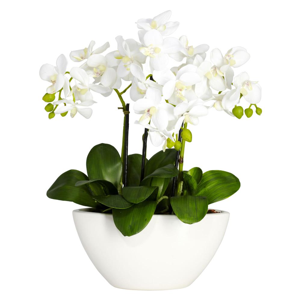 Phalaenopsis Silk Flower Arrangement. Picture 1