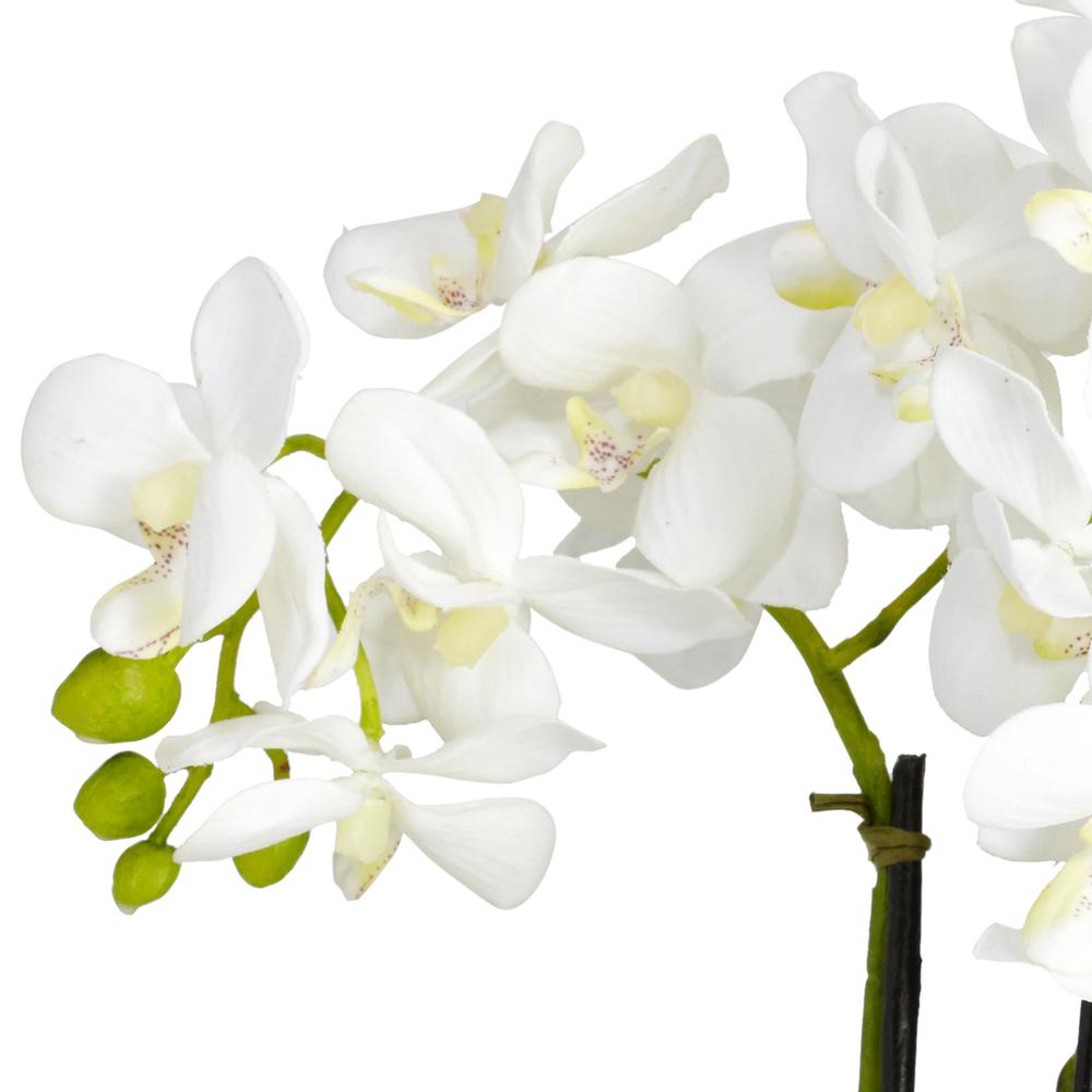 Phalaenopsis Silk Flower Arrangement. Picture 3