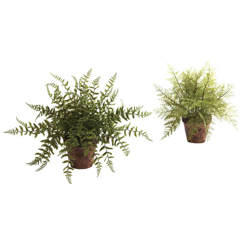 Fern with Decorative Planter (Set of 2). Picture 1