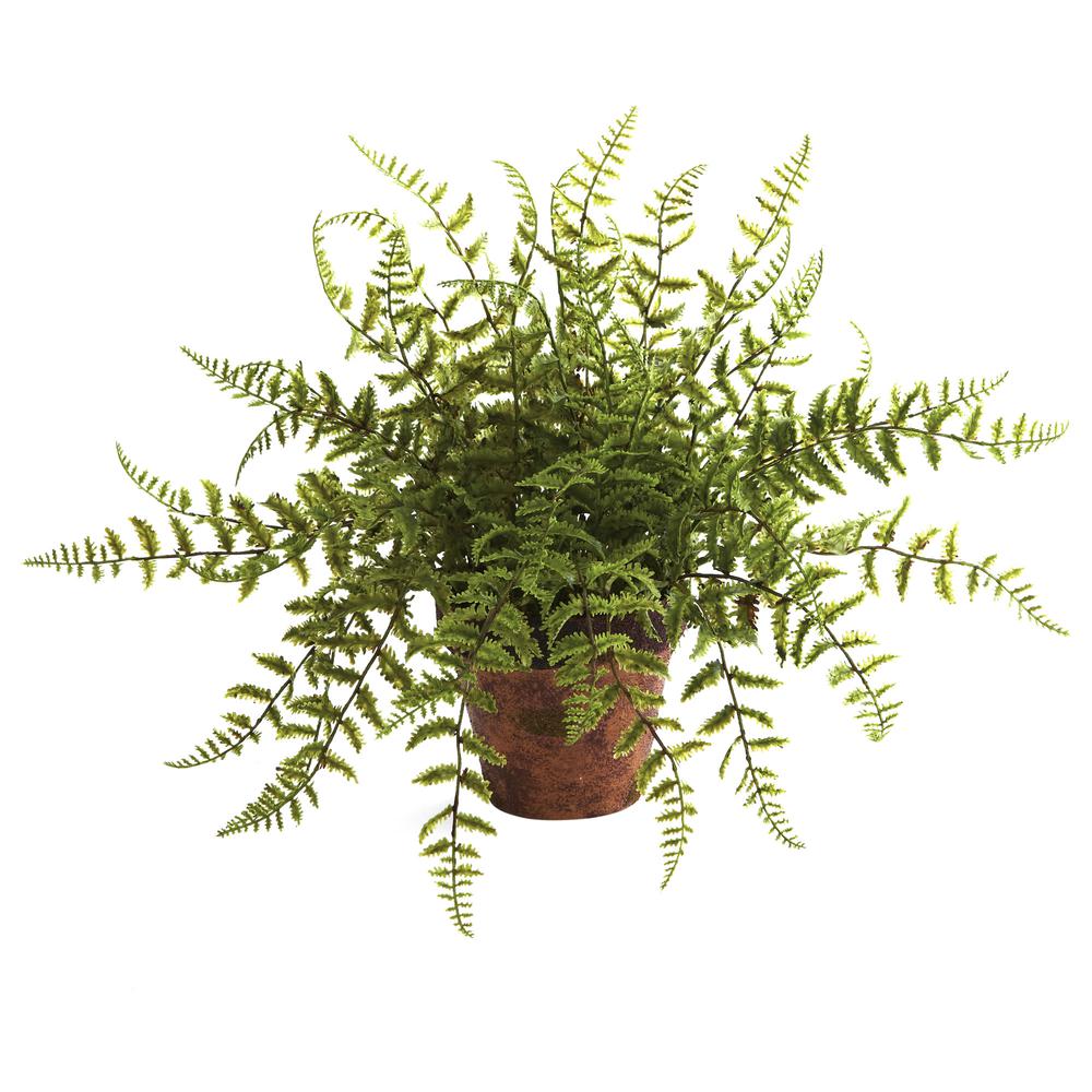 Fern with Decorative Planter (Set of 2). Picture 3