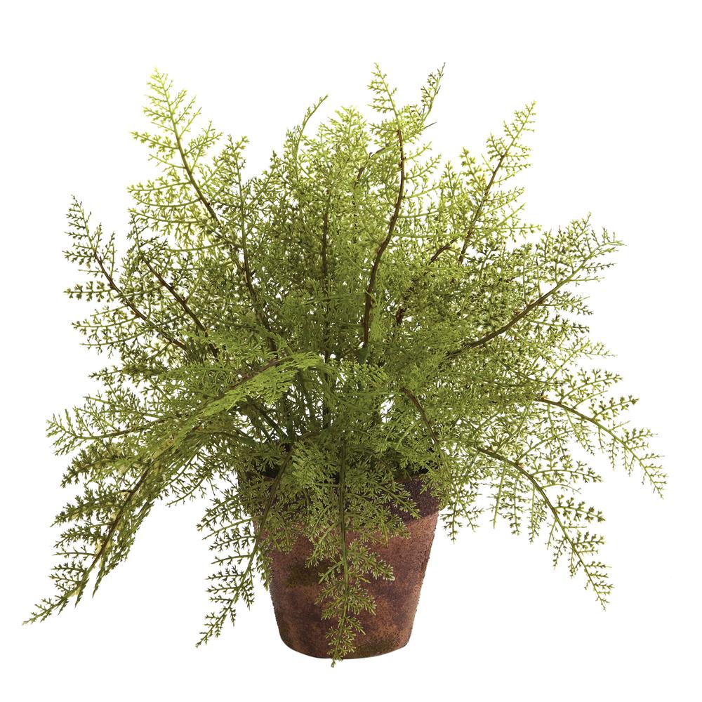 Fern with Decorative Planter (Set of 2). Picture 2