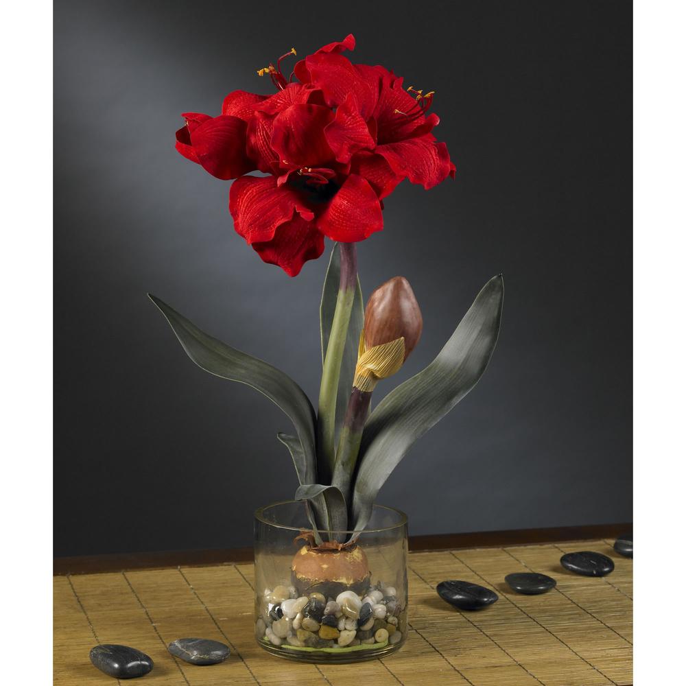 Amaryllis with Round Vase. Picture 2