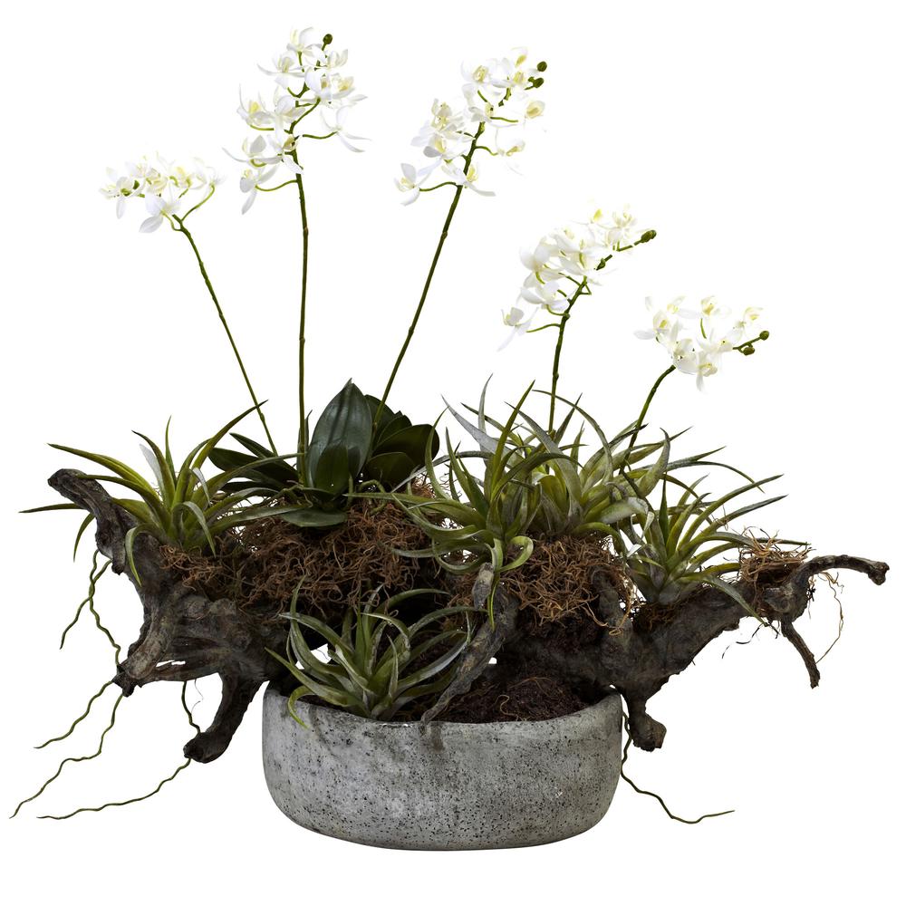 Orchid & Succulent Garden with Driftwood & Decorative Vase. Picture 1