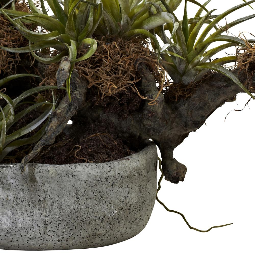 Orchid & Succulent Garden with Driftwood & Decorative Vase. Picture 4