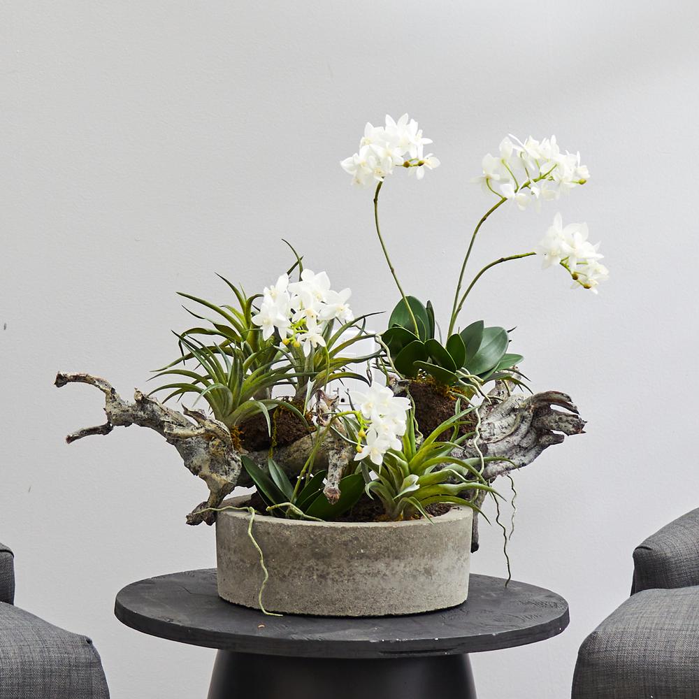Orchid & Succulent Garden with Driftwood & Decorative Vase. Picture 2