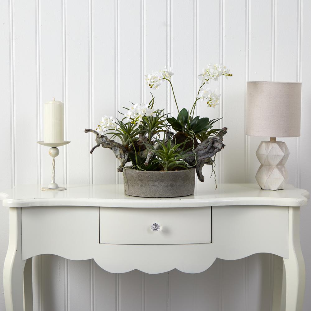 Orchid & Succulent Garden with Driftwood & Decorative Vase. Picture 5