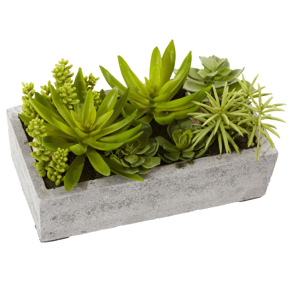 Succulent Garden with Concrete Planter. Picture 1