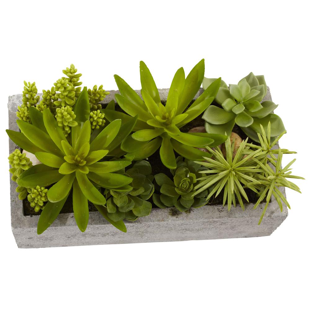 Succulent Garden with Concrete Planter. Picture 7