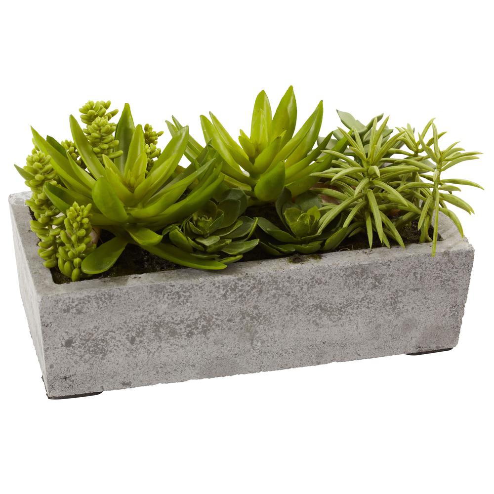 Succulent Garden with Concrete Planter. Picture 11