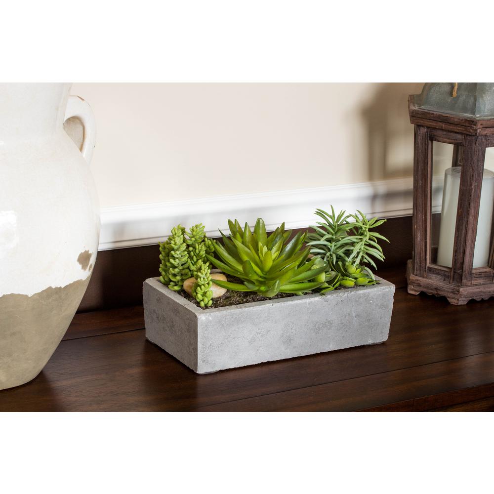 Succulent Garden with Concrete Planter. Picture 2