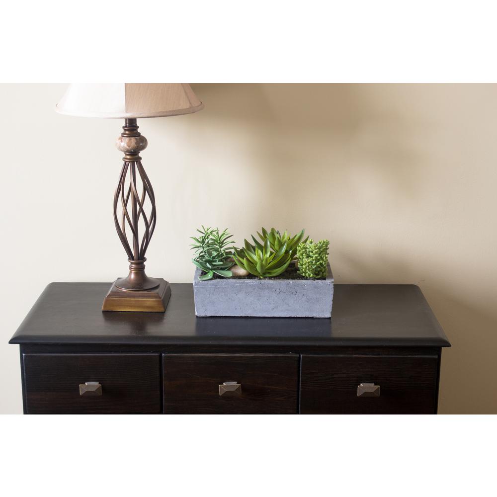 Succulent Garden with Concrete Planter. Picture 12
